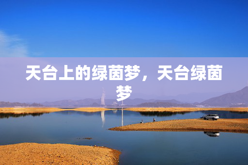 天台上的绿茵梦，天台绿茵梦