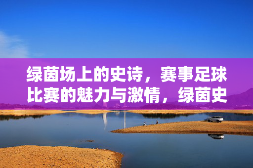 绿茵场上的史诗，赛事足球比赛的魅力与激情，绿茵史诗，赛事足球的魅力与激情