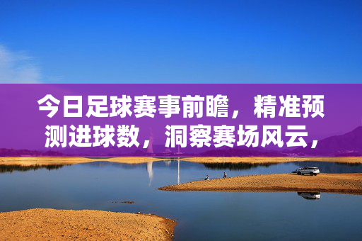 今日足球赛事前瞻，精准预测进球数，洞察赛场风云，今日足球赛事前瞻，精准预测进球数，洞察赛场风云
