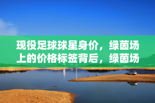 现役足球球星身价，绿茵场上的价格标签背后，绿茵场标价，现役足球球星身价的背后