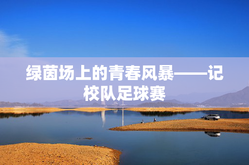 绿茵场上的青春风暴——记校队足球赛