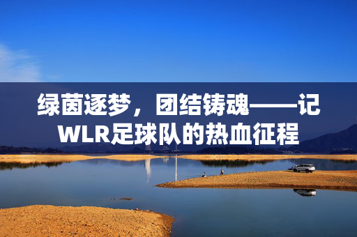 绿茵逐梦，团结铸魂——记WLR足球队的热血征程