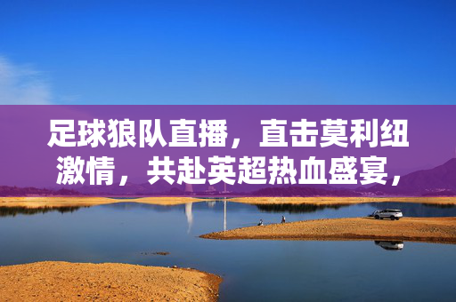 足球狼队直播，直击莫利纽激情，共赴英超热血盛宴，直击莫利纽激情，狼队英超直播热血盛宴