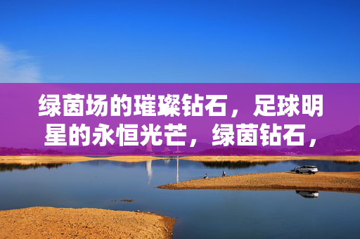 绿茵场的璀璨钻石,足球明星的永恒光芒,绿茵钻石,足球明星的永恒光芒