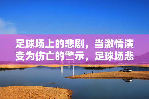 足球场上的悲剧,当激情演变为伤亡的警示,足球场悲剧,激情演变为伤亡警示
