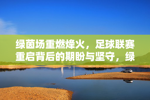 绿茵场重燃烽火，足球联赛重启背后的期盼与坚守，绿茵烽火重燃，重启背后的期盼与坚守