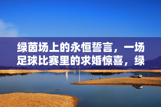 绿茵场上的永恒誓言，一场足球比赛里的求婚惊喜，绿茵赛场，永恒誓言与求婚惊喜