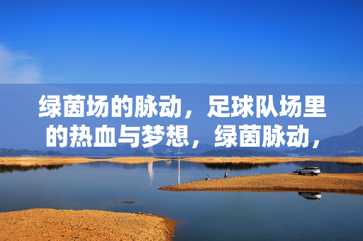 绿茵场的脉动，足球队场里的热血与梦想，绿茵脉动，热血铸就梦想