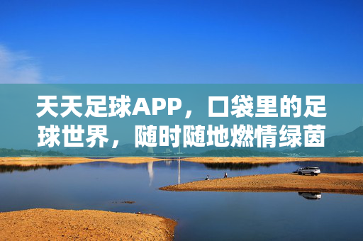 天天足球APP，口袋里的足球世界，随时随地燃情绿茵，天天足球APP，口袋里的足球世界，随时随地燃情绿茵