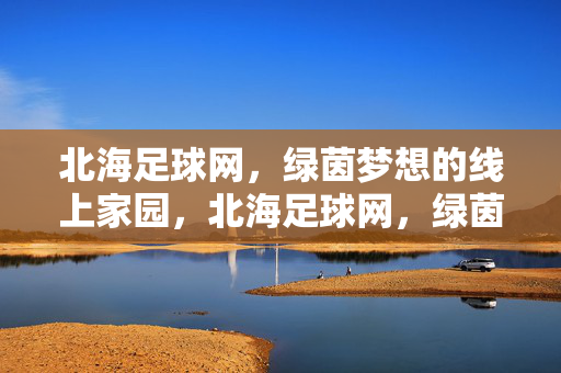 北海足球网，绿茵梦想的线上家园，北海足球网，绿茵梦想的线上家园