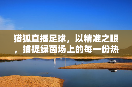 猎狐直播足球，以精准之眼，捕捉绿茵场上的每一份热血，猎狐直播足球，精准之眼，捕捉绿茵热血
