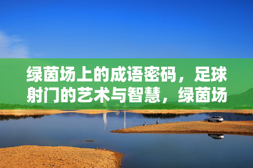 绿茵场上的成语密码，足球射门的艺术与智慧，绿茵场成语密码，射门的艺术与智慧