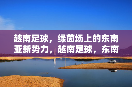 越南足球，绿茵场上的东南亚新势力，越南足球，东南亚绿茵新势力