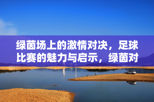 绿茵场上的激情对决，足球比赛的魅力与启示，绿茵对决，足球的魅力与启示