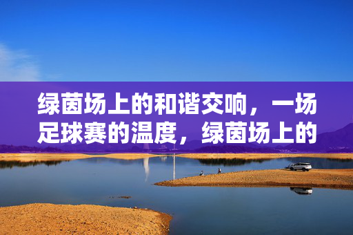 绿茵场上的和谐交响，一场足球赛的温度，绿茵场上的和谐温度