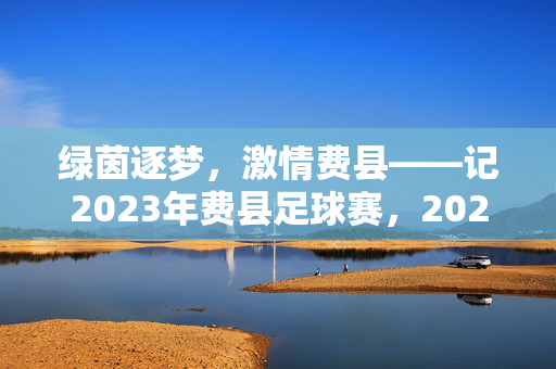 绿茵逐梦，激情费县——记2023年费县足球赛，2023费县足球赛，绿茵逐梦燃激情
