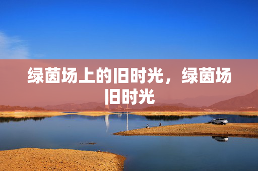 绿茵场上的旧时光，绿茵场旧时光