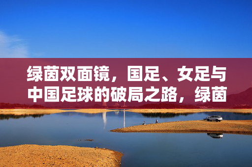绿茵双面镜，国足、女足与中国足球的破局之路，绿茵双面镜，国足女足与中国足球的破局之路