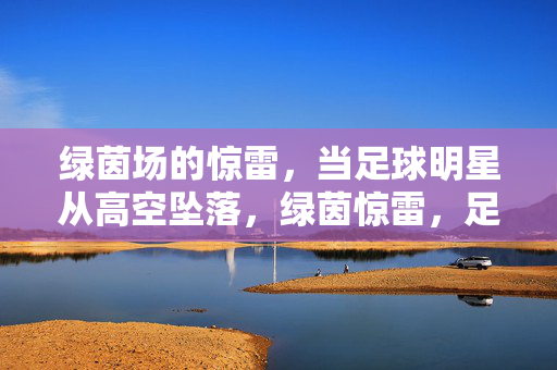 绿茵场的惊雷,当足球明星从高空坠落,绿茵惊雷,足球明星高空坠落