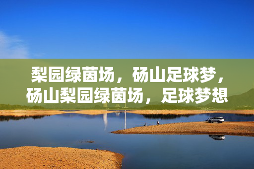梨园绿茵场,砀山足球梦,砀山梨园绿茵场,足球梦想正飞扬