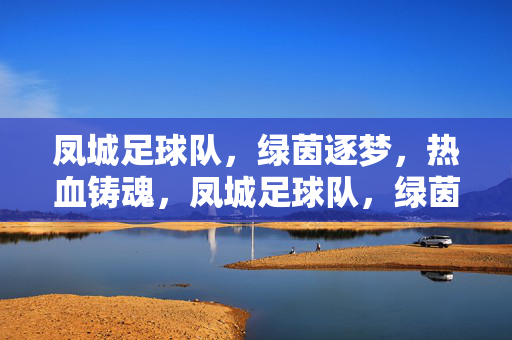 凤城足球队，绿茵逐梦，热血铸魂，凤城足球队，绿茵逐梦，热血铸魂