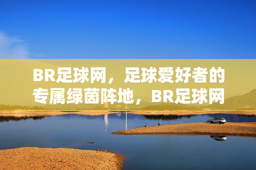 BR足球网，足球爱好者的专属绿茵阵地，BR足球网，足球爱好者的专属绿茵阵地