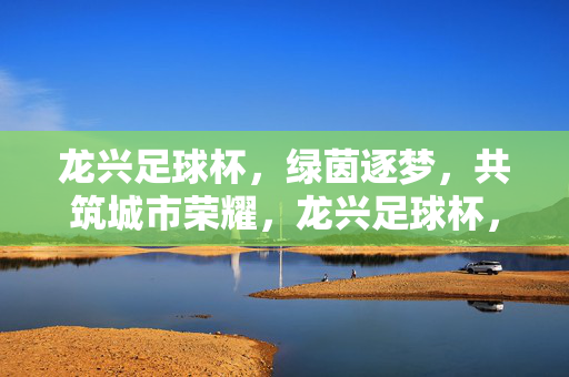 龙兴足球杯，绿茵逐梦，共筑城市荣耀，龙兴足球杯，绿茵逐梦，共筑城市荣耀