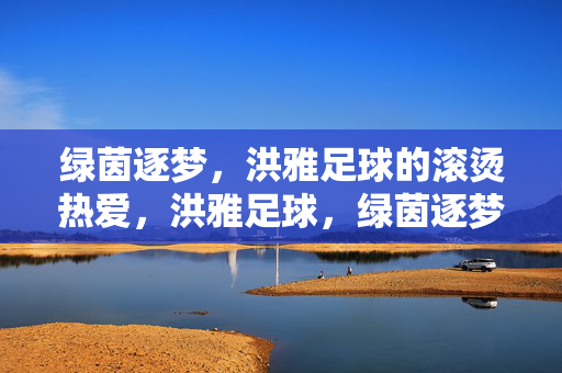 绿茵逐梦，洪雅足球的滚烫热爱，洪雅足球，绿茵逐梦的滚烫热爱