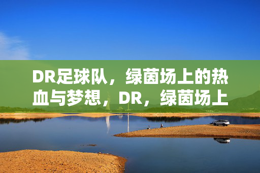 DR足球队,绿茵场上的热血与梦想,DR,绿茵场上的热血与梦想