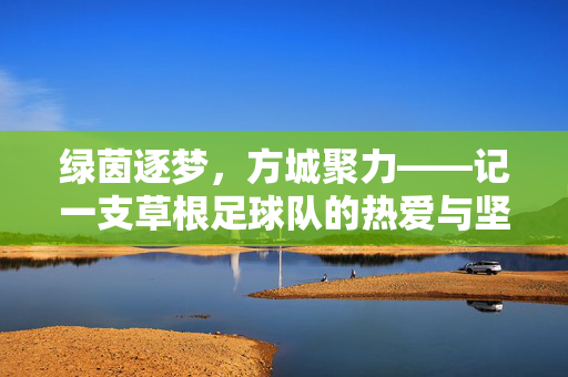 绿茵逐梦，方城聚力——记一支草根足球队的热爱与坚守，绿茵逐梦，方城热爱——草根足球队的坚守