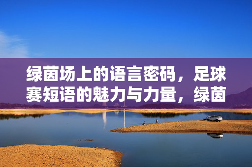 绿茵场上的语言密码，足球赛短语的魅力与力量，绿茵场的语言密码，足球赛短语的魅力与力量