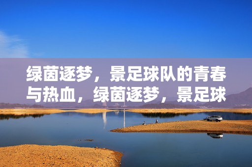 绿茵逐梦，景足球队的青春与热血，绿茵逐梦，景足球队的青春热血