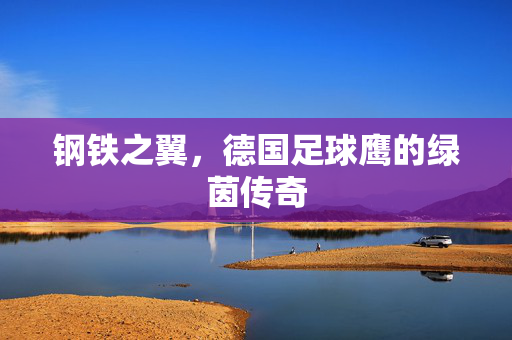 钢铁之翼，德国足球鹰的绿茵传奇