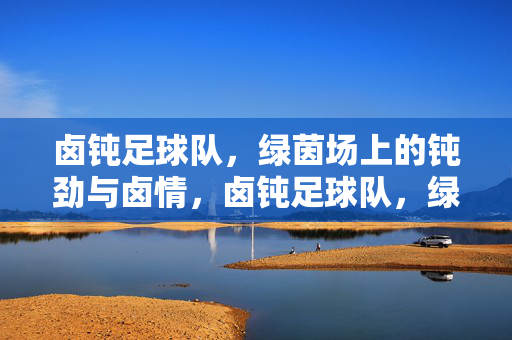 卤钝足球队，绿茵场上的钝劲与卤情，卤钝足球队，绿茵场上的钝劲与卤情