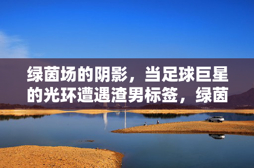 绿茵场的阴影，当足球巨星的光环遭遇渣男标签，绿茵场的阴影，足球巨星光环遭遇渣男标签