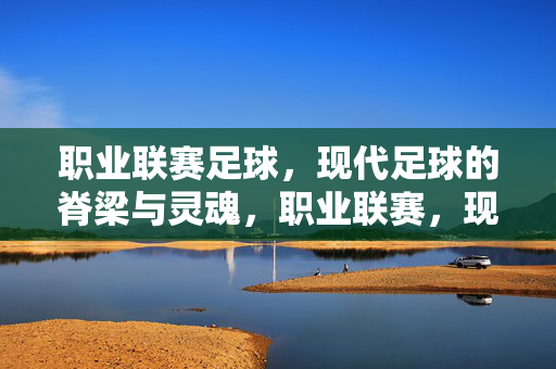 职业联赛足球,现代足球的脊梁与灵魂,职业联赛,现代足球的脊梁与灵魂