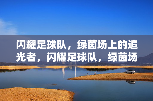 闪耀足球队，绿茵场上的追光者，闪耀足球队，绿茵场上的追光者