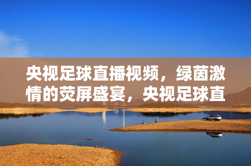 央视足球直播视频，绿茵激情的荧屏盛宴，央视足球直播，绿茵激情的荧屏盛宴