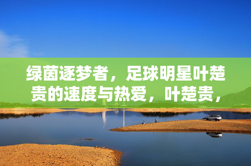 绿茵逐梦者，足球明星叶楚贵的速度与热爱，叶楚贵，绿茵逐梦者的速度与热爱