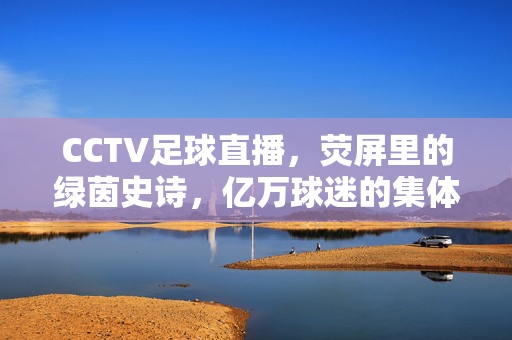 CCTV足球直播，荧屏里的绿茵史诗，亿万球迷的集体记忆，荧屏绿茵史诗，CCTV足球直播的集体记忆