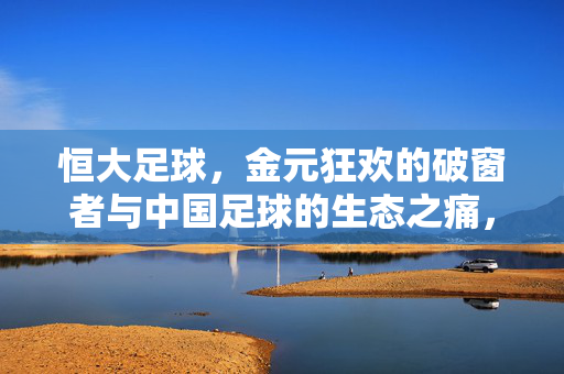 恒大足球,金元狂欢的破窗者与中国足球的生态之痛,恒大足球,金元破窗者与中国足球生态之痛