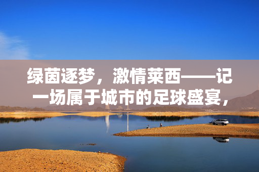 绿茵逐梦，激情莱西——记一场属于城市的足球盛宴，绿茵逐梦，激情莱西，城市足球盛宴