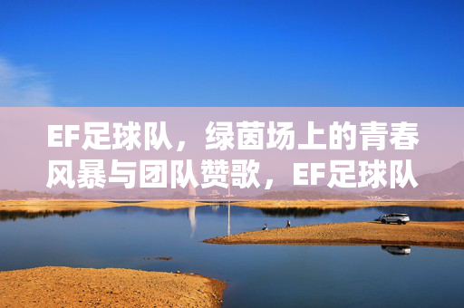 EF足球队，绿茵场上的青春风暴与团队赞歌，EF足球队，绿茵场上的青春风暴与团队赞歌