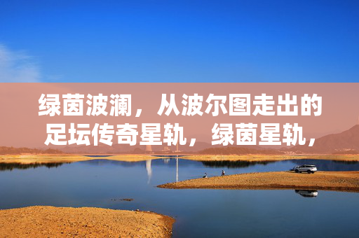 绿茵波澜，从波尔图走出的足坛传奇星轨，绿茵星轨，波尔图足坛传奇之路