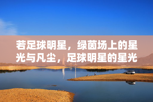 若足球明星，绿茵场上的星光与凡尘，足球明星的星光与凡尘