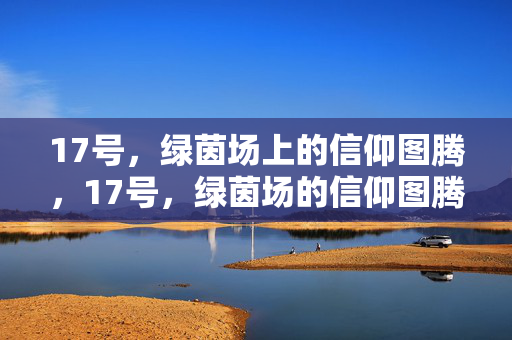 17号，绿茵场上的信仰图腾，17号，绿茵场的信仰图腾