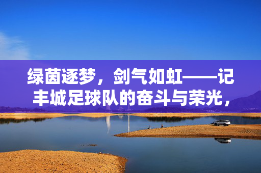 绿茵逐梦,剑气如虹——记丰城足球队的奋斗与荣光,丰城足球队,绿茵逐梦,剑气铸荣光