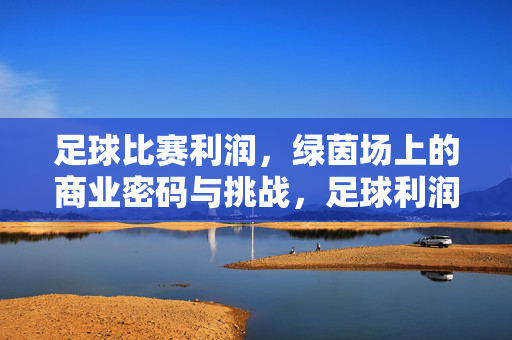 足球比赛利润,绿茵场上的商业密码与挑战,足球利润,绿茵场上的商业密码与挑战