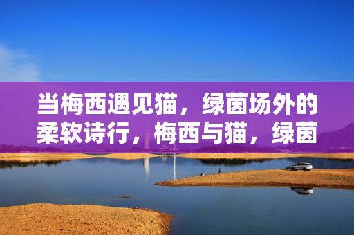 当梅西遇见猫，绿茵场外的柔软诗行，梅西与猫，绿茵场外的柔软诗行
