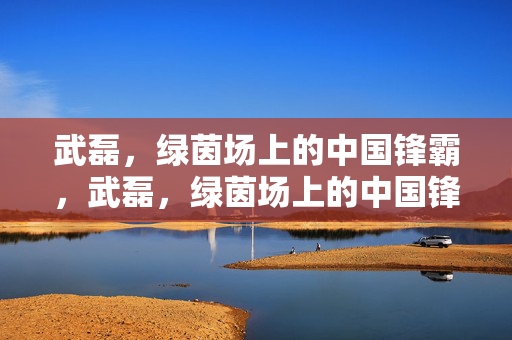 武磊，绿茵场上的中国锋霸，武磊，绿茵场上的中国锋霸